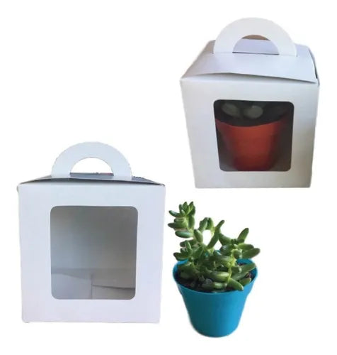 cod: 2661 (100u) CAJA PARA PLANTAS SUCULENTAS SOUVENIRS C/VENTANA - medida: 11.4x11.4x11.4
