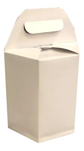 cod: 3101 (10u) CAJA BOLSA, ESTUCHE, PAN DULCE, MACETA, PLANTA, REGALOS - medida: 19x16x16