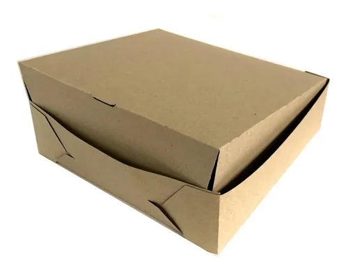 cod: 3747 (100u) CAJA DELIVERY LOMO GRANDE TIPO BISAGRA C. - medida: 25x23x7.5