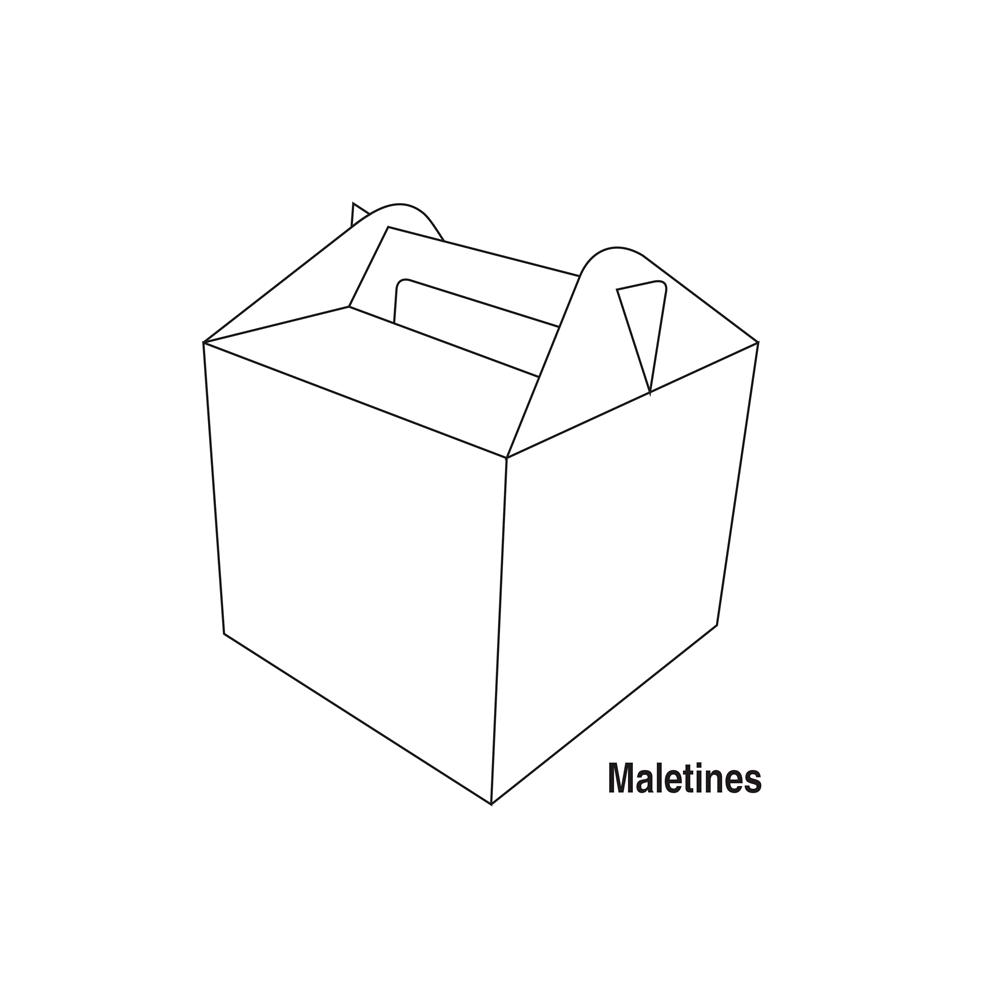 Maletines y Colgantes