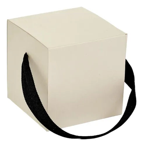 cod: 2533 (25u) CAJA CUBO C/ MANIJA SOUVENIRS PORCIONES  U - medida: 10x10x3