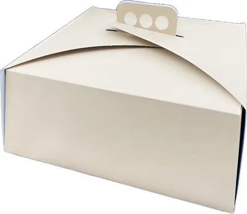 cod: 4078 (10u) CAJAS TORTA TARTA PANADERÍA REPOSTERÍA  DOBLE FAZ - medida: 30x30x9