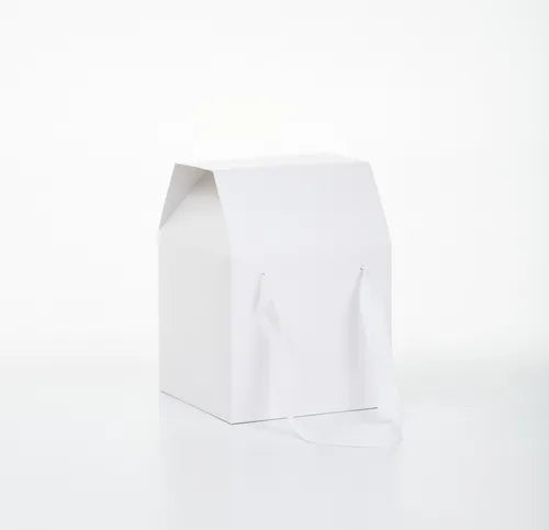 cod: 2985 (50u) CAJA C/ MANIJAS Y CA 13,5 U HUEVO PASCUA 040C - medida: 17.5x13x13