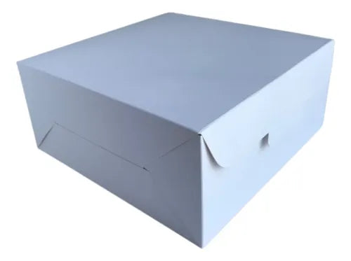 cod: 3462 (25u) CAJA PARA DELIVERY  SIN VISOR - medida: 22x22x9