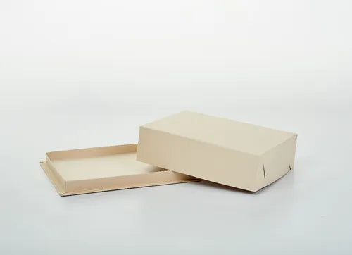 cod: 3316 (60u) CAJA SALADITOS PICADA MASAS SUSHI 1/4KG  U - medida: 21x16x4