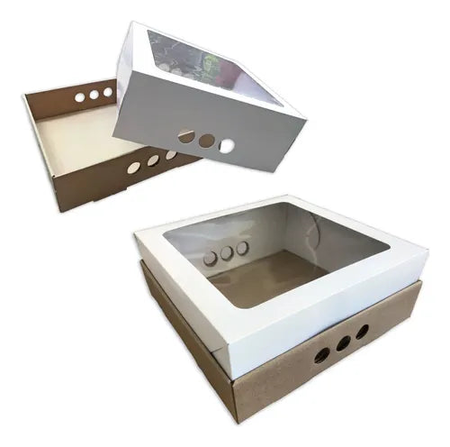 cod: 4294 (50u) CAJAS PARA DESAYO BANDEJA Y TAPA    VISOR - medida: 32x32x12